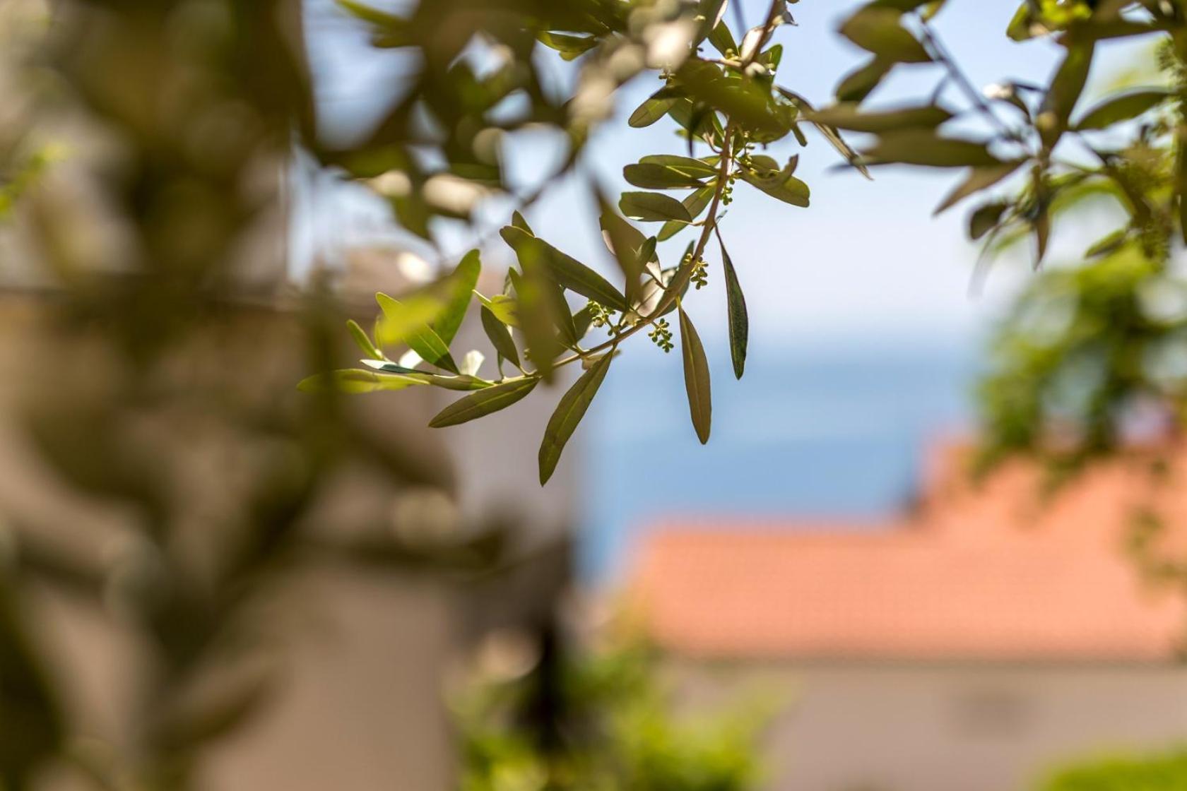 Apartments With A Parking Space Baska Voda, Makarska - 301 エクステリア 写真